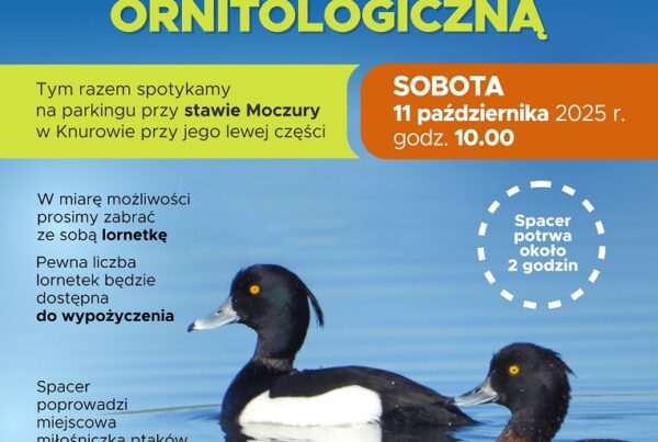spacer przyrodniczy z edukacja ornitologiczna