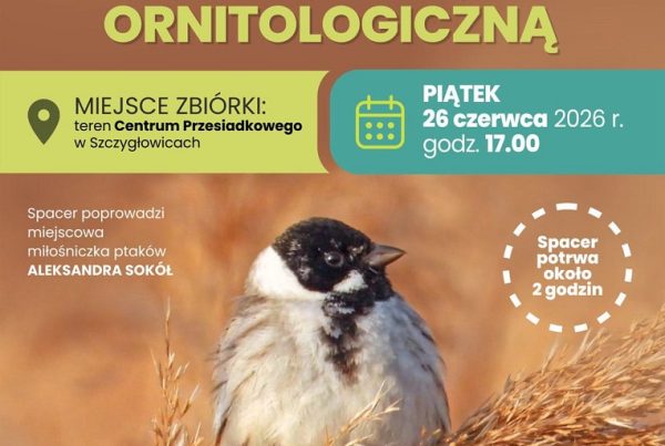 spacer przyrodniczy z edukacja ornitologiczna